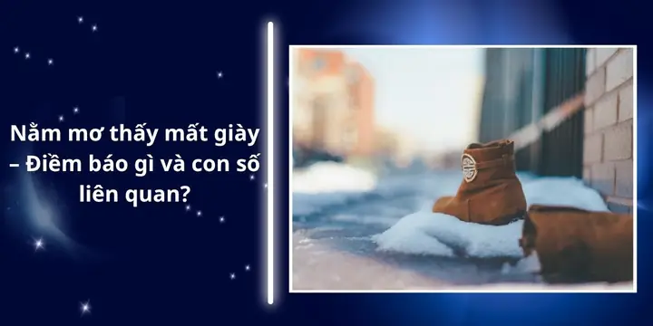 Mơ Thấy Nhiều Trái Dừa: Ý Nghĩa Tâm Linh, Số May Mắn Và Góc Nhìn Khoa Học