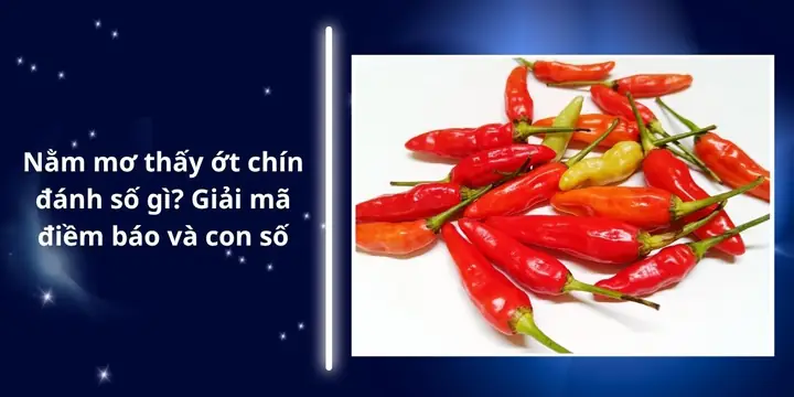 Mơ Thấy Nhiều Trái Dừa: Ý Nghĩa Tâm Linh, Số May Mắn Và Góc Nhìn Khoa Học