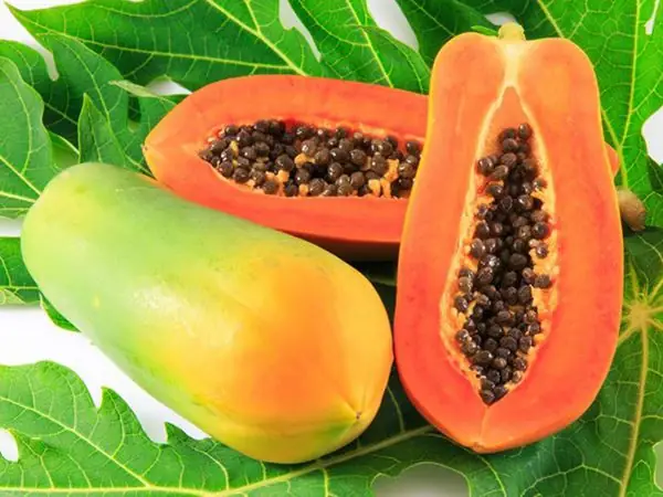 Mơ Thấy Quả Đu Đủ Xanh: Ý Nghĩa Chi Tiết Và Điềm Báo Cần Biết