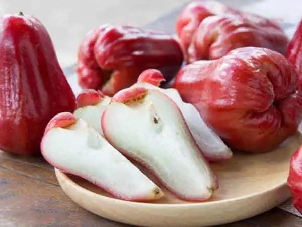 Mơ Thấy Quả Roi Đó: Ý Nghĩa Giải Mộng Chi Tiết Và Góc Nhìn Khoa Học