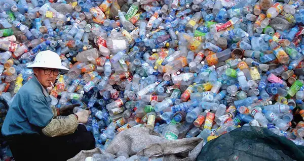 Mơ Thấy Rác Đánh Số May: Giải Mã Ý Nghĩa Từ Góc Nhìn Khoa Học