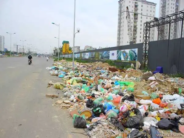 Mơ Thấy Rác Đánh Số May: Giải Mã Ý Nghĩa Từ Góc Nhìn Khoa Học