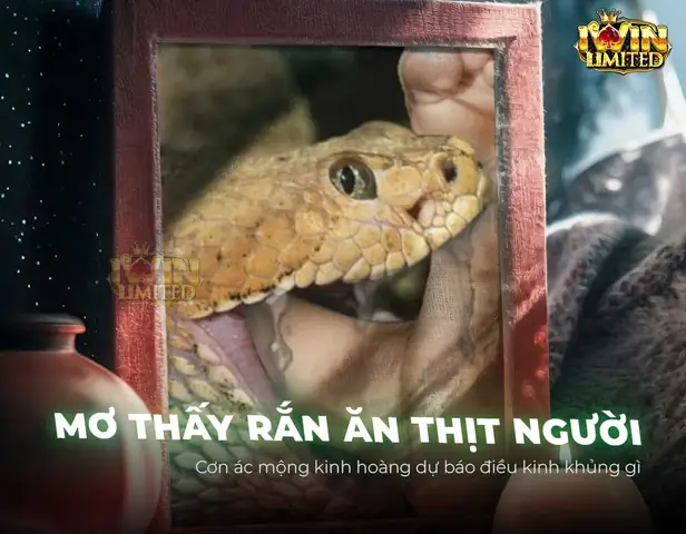 Mơ Thấy Rắn Ăn Thịt Người: Giải Nghĩa, Ý Nghĩa Và Lời Khuyên Từ Nhiều Góc Độ