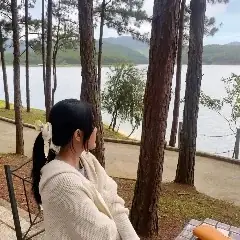 Giấc Mơ Thấy Rắn: Giải Mã Ý Nghĩa Theo Khoa Học Và Văn Hóa