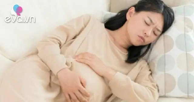 Mơ Thấy Rắn Xanh La Cây Là Điềm Gì? Giải Mã Chi Tiết & Ý Nghĩa