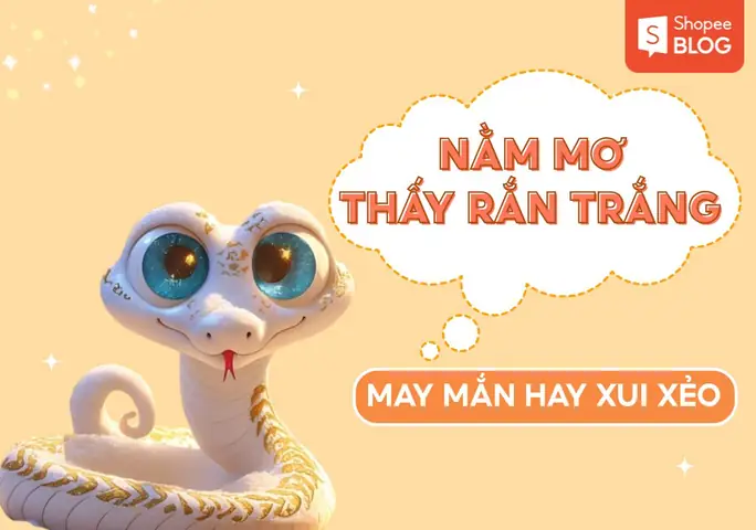 Mơ Thấy Rắn Trắng Đuổi Theo: Ý Nghĩa Khoa Học, Giải Mộng Dân Gian Và Lời Khuyên Thực Tế