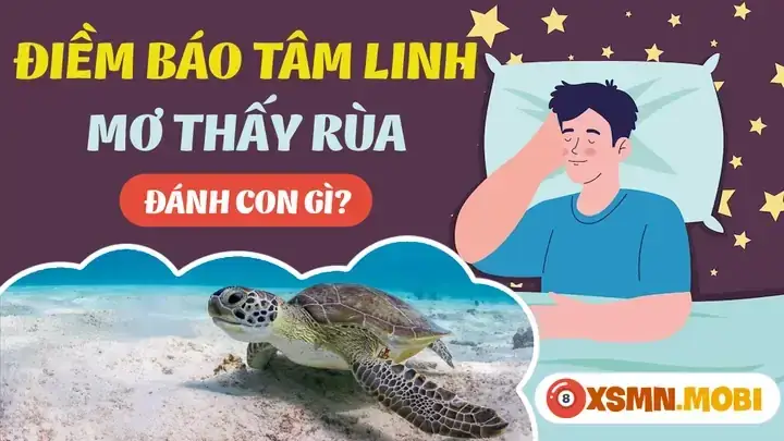 Mơ Thấy Rùa Đen: Giải Mã Toàn Diện Từ Tâm Linh Đến Thực Tiễn