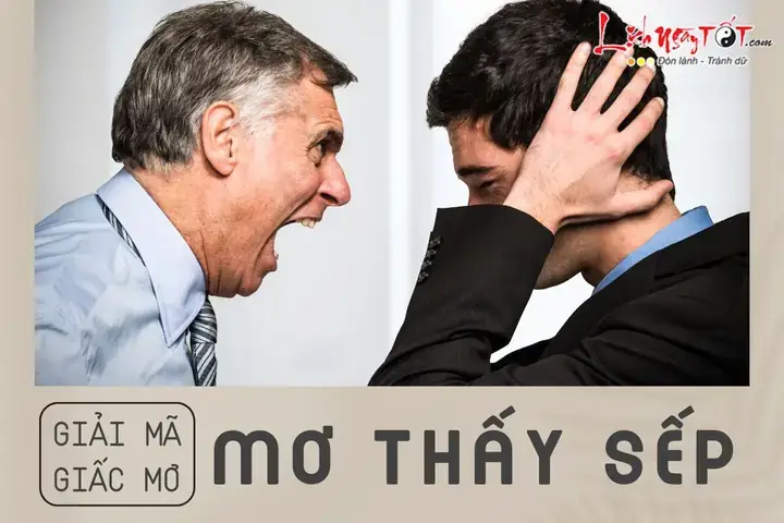 Mơ Thấy Sếp Yêu Mình: Giải Mã Toàn Diện Từ Tâm Lý Đến Tâm Linh