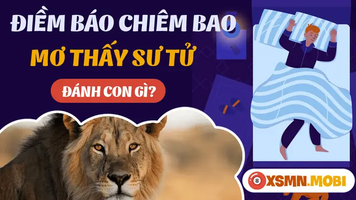 Giấc Mơ Thấy Sư Tử Đuổi: Giải Mã Ý Nghĩa & Lời Khuyên Thực Tế