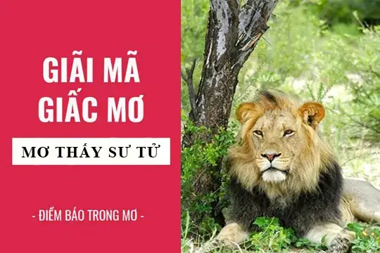 Mơ Thấy Sư Tử Màu Vàng: Ý Nghĩa Bí Ẩn Và Điềm Báo Quan Trọng