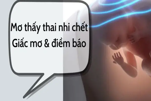 Mơ Thấy Thai Nhi Chết: Giải Mã Ý Nghĩa Từ Tâm Lý Đến Văn Hóa