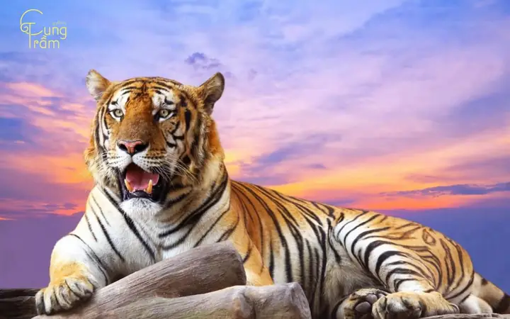 Mơ Thấy Thú Dữ Tấn Công: Giải Mã Ý Nghĩa Tâm Lý & Lời Khuyên Thực Tế