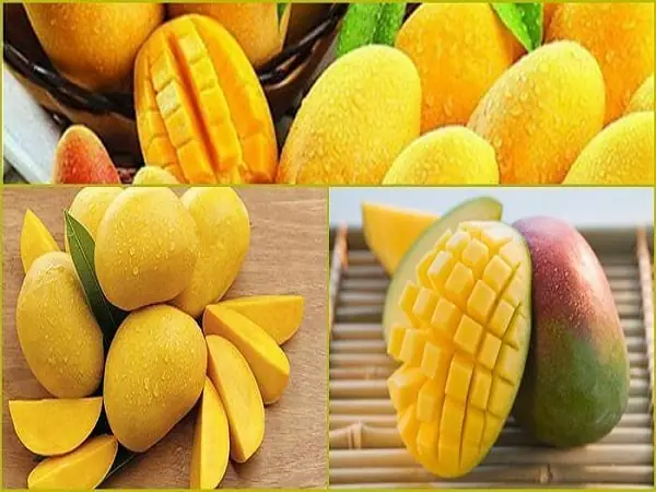 Mơ Thấy Trái Cây Chín Đỏ: Ý Nghĩa, Điềm Báo Và Luận Số Toàn Diện