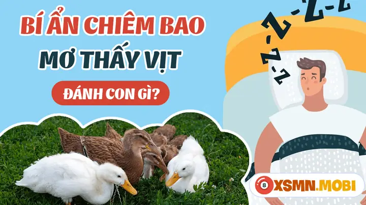 Giấc Mơ Thấy Vịt Xiêm: Ý Nghĩa, Điềm Báo Và Bí Quyết May Mắn