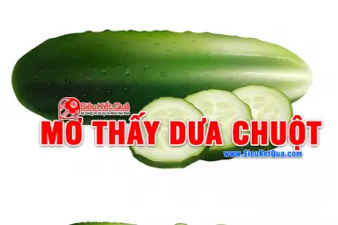 Mơ Thấy Vườn Dưa Chuột: Giải Mã Ý Nghĩa Từ Sức Khỏe Đến Tâm Linh