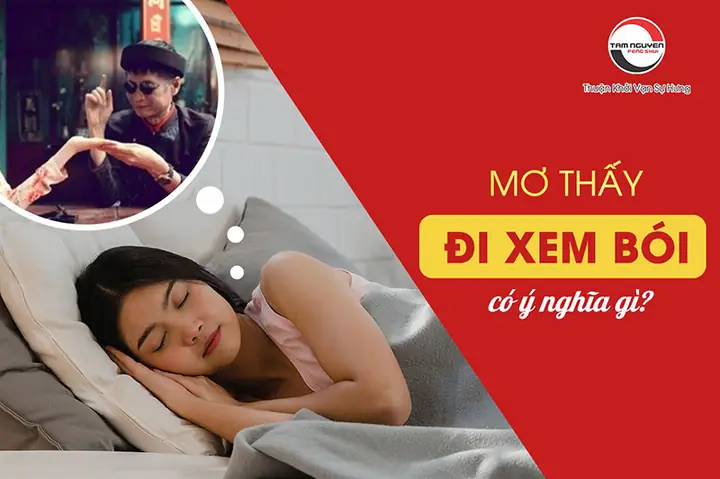 Mơ Thấy Xem Bói Chỉ Tay: Ý Nghĩa Tâm Linh Và Khoa Học Cần Biết