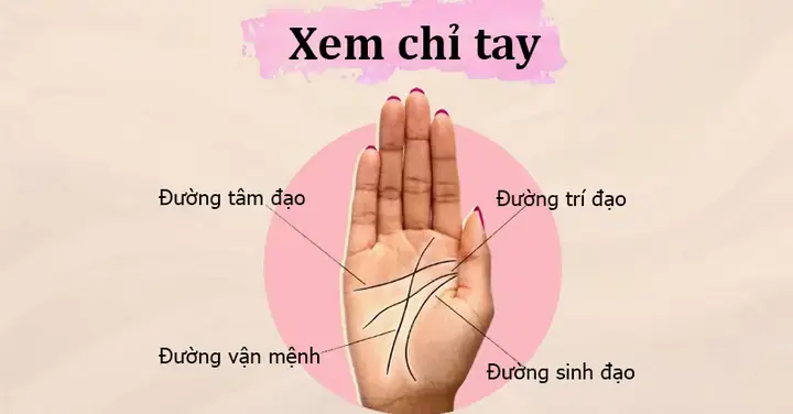 Mơ Thấy Xem Bói Chỉ Tay: Ý Nghĩa Tâm Linh Và Khoa Học Cần Biết