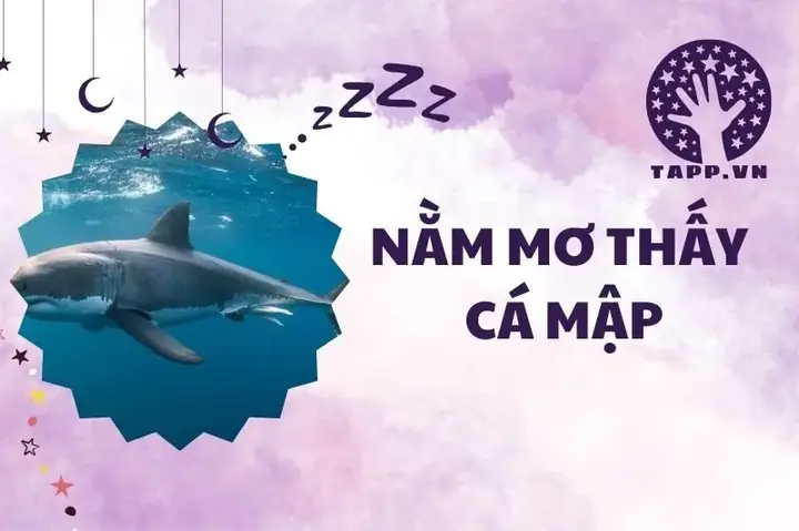 Mơ Thấy Zombie Là Điềm Gì? Giải Mã Ý Nghĩa Từ Góc Độ Tâm Lý