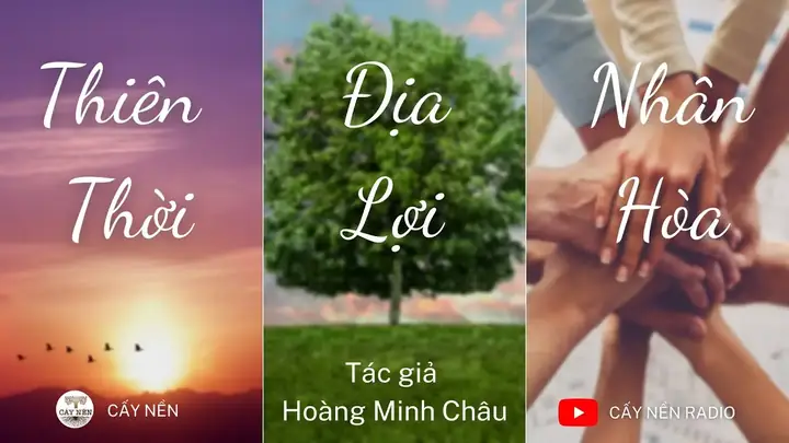 Giấc Mơ Câu Được Cá Trắng: Ý Nghĩa Tâm Linh Và Lời Khuyên Thực Tế