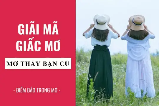 Nằm Mơ Thấy Bạn Bè Cũ: Ý Nghĩa Và Phân Tích Từ Góc Độ Tâm Lý