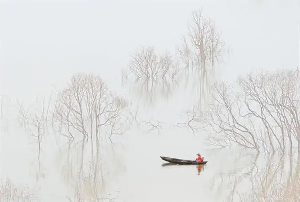 Bắt Rùa Trong Giấc Mơ: Tất Tần Tật Ý Nghĩa Bạn Cần Biết