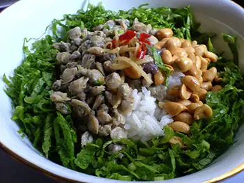 Nằm Mơ Thấy Bắt Trai Hến: Giải Mã Ý Nghĩa Điềm Báo Và Lời Khuyên Thực Tế