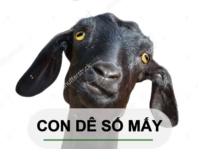 Giấc Mơ Thấy Bị Dê Xồm: Giải Mã Ý Nghĩa Tâm Lý & Lời Khuyên Thực Tế