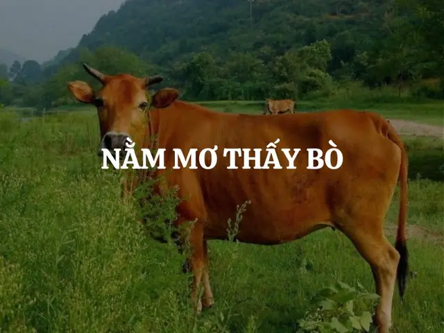 Nằm Mơ Thấy Rết Bò Vào Nhà: Ý Nghĩa, Điềm Báo Và Con Số May Mắn