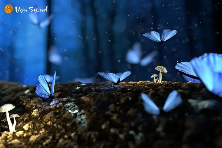 Nằm Mơ Thấy Bướm Đen: Giải Mã Ý Nghĩa Tâm Linh Và Thông Điệp Tiềm Ẩn