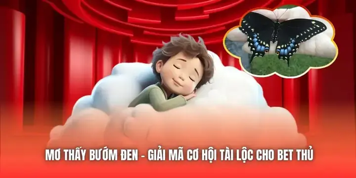 Nằm Mơ Thấy Bướm Đen: Giải Mã Ý Nghĩa Tâm Linh Và Thông Điệp Tiềm Ẩn