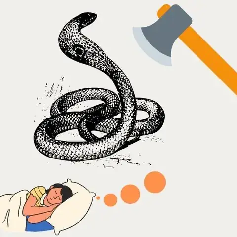 Giấc Mơ Chặt Đầu Rắn: Ý Nghĩa Tâm Lý, Biểu Tượng Và Lời Khuyên Thực Tế