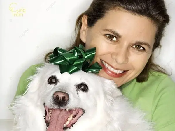 Nằm Mơ Thấy Chó Trắng: Giải Mã Biểu Tượng Và Phản Ánh Tâm Trí