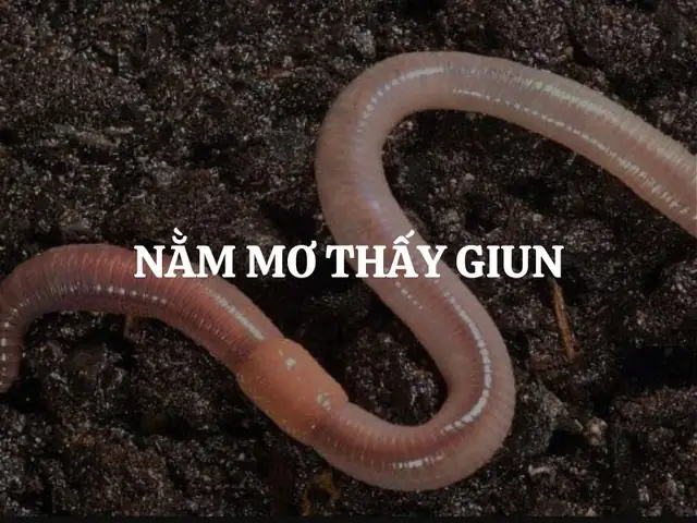Nằm Mơ Thấy Con Trùng Đất: Giải Mã Ý Nghĩa Từ Khoa Học Đến Văn Hóa