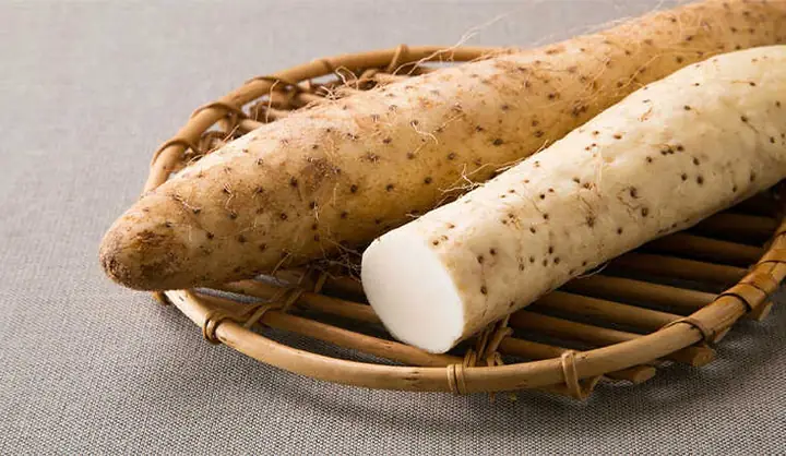 Nằm Mơ Thấy Củ Khoai Từ: Ý Nghĩa Thực Tế Và Thông Điệp Từ Tiềm Thức