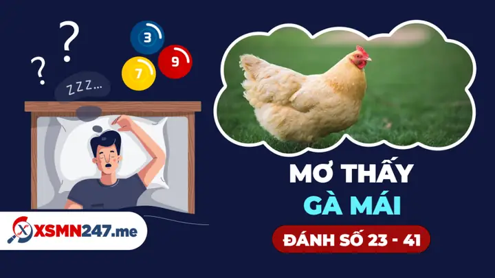 Ý Nghĩa Giấc Mơ Thấy Gà Mái: Từ Tín Ngưỡng Đến Góc Nhìn Hiện Đại