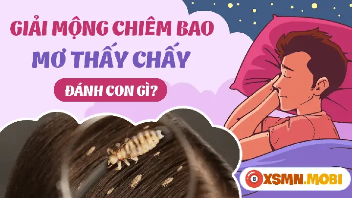 Giải Mã Giấc Mơ Giết Chấy: Ý Nghĩa Tâm Linh, Tâm Lý & Lời Khuyên Thực Tế