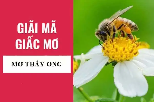 Giấc Mơ Thấy Mưa To Gió Lớn: Giải Mã Ý Nghĩa Từ Góc Độ Tâm Lý Học Và Văn Hóa