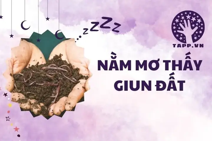 Nằm Mơ Thấy Giun Đất: Ý Nghĩa Tâm Linh Và Phân Tích Tâm Lý Chi Tiết