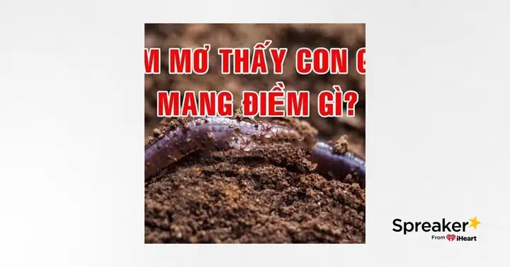 Nằm Mơ Thấy Giun Đất: Ý Nghĩa Tâm Linh Và Phân Tích Tâm Lý Chi Tiết