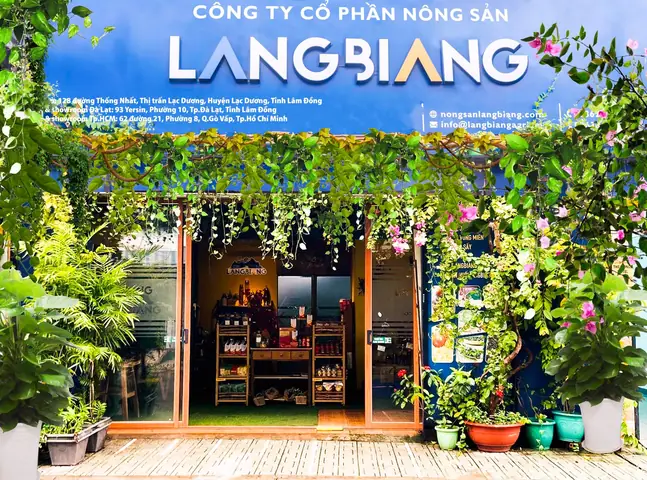 Nằm Mơ Thấy Hái Trái Cây: Ý Nghĩa Tâm Lý Và Biểu Tượng Sâu Sắc