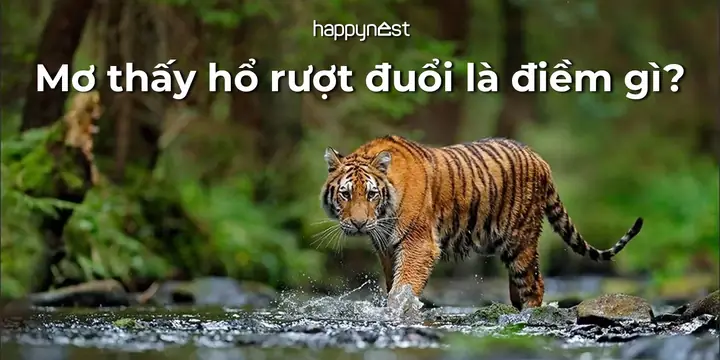 Giấc Mơ Thấy Rắn Hổ Mang Đuổi Theo: Giải Mã Ý Nghĩa Và Cách Ứng Phó