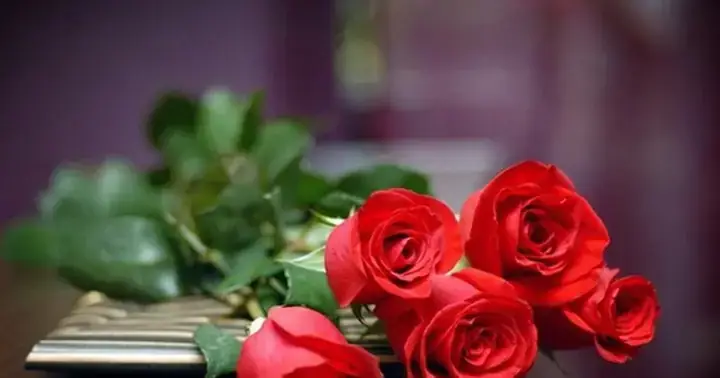 Nằm Mơ Thấy Hoa Màu Đỏ: Giải Mã Toàn Diện Từ Tâm Lý, Văn Hóa Đến Ứng Dụng Thực Tế