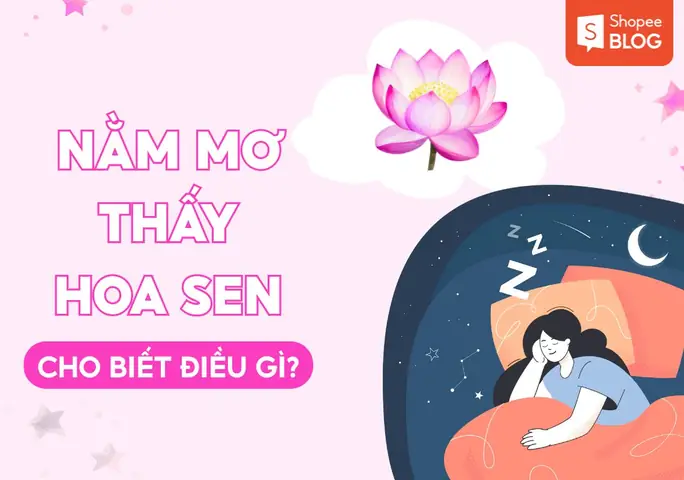 Giấc Mơ Hoa Sen Hồng: Ý Nghĩa Tâm Linh, Bí Số Học Và Bài Học Cho Đời Sống