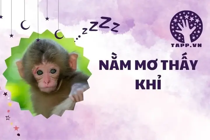 Giấc Mơ Khỉ Tấn Công: Ý Nghĩa Tâm Lý Và Cách Hóa Giải