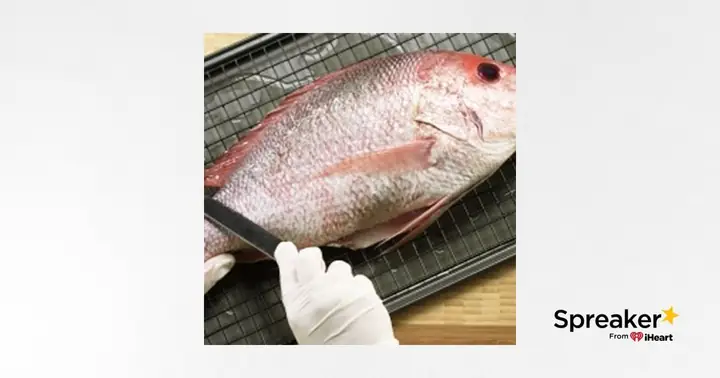 Nằm Mơ Thấy Làm Thịt Cá: Ý Nghĩa Từ Tâm Linh Đến Thực Tế