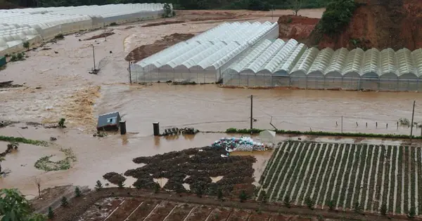 Giấc Mơ Thấy Lũ Lụt: Giải Mã Ý Nghĩa Từ Góc Độ Khoa Học Và Thực Tế