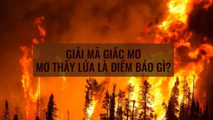 Nằm Mơ Thấy Lửa: Giải Mã Toàn Diện Ý Nghĩa Và Lời Khuyên