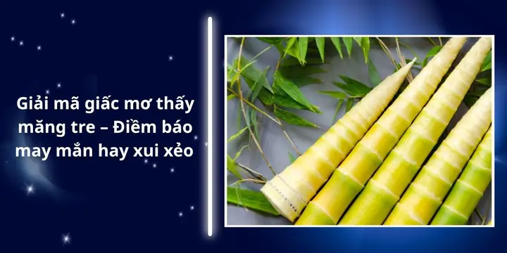 Giấc Mơ Thấy Măng Tre: Bí Mật Đằng Sau Lời Tiên Tri Và Ẩn Số Cuộc Sống