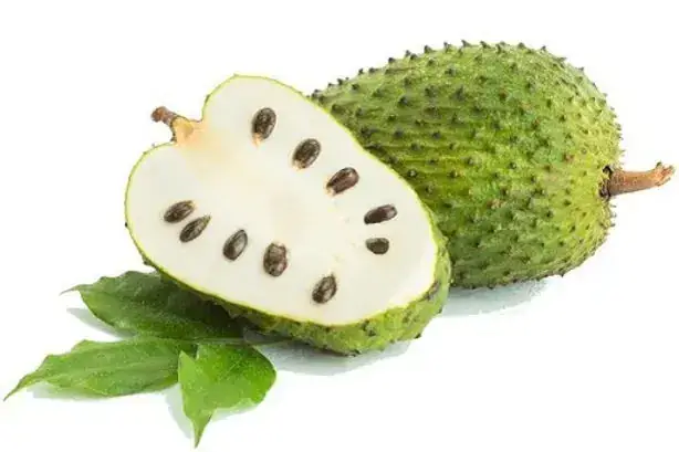 Giấc Mơ Thấy Măng Tre: Bí Mật Đằng Sau Lời Tiên Tri Và Ẩn Số Cuộc Sống