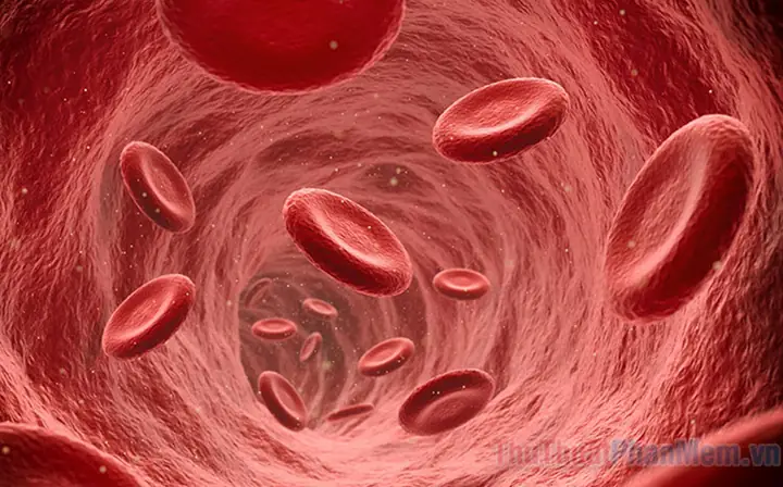 Nằm Mơ Thấy Máu Số May: Ý Nghĩa, Phân Tích Và Lời Khuyên Thực Tế